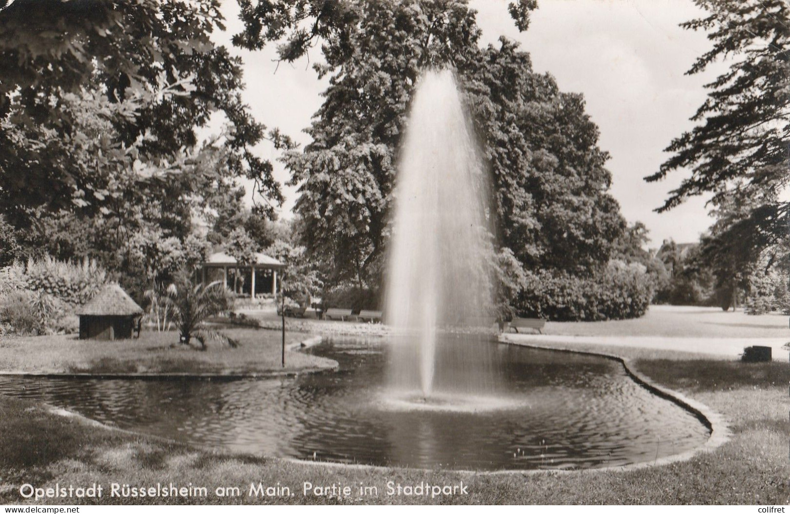 Hesse - Rüsselsheim Am Main  -  Partie Im Stadtpark - Rüsselsheim