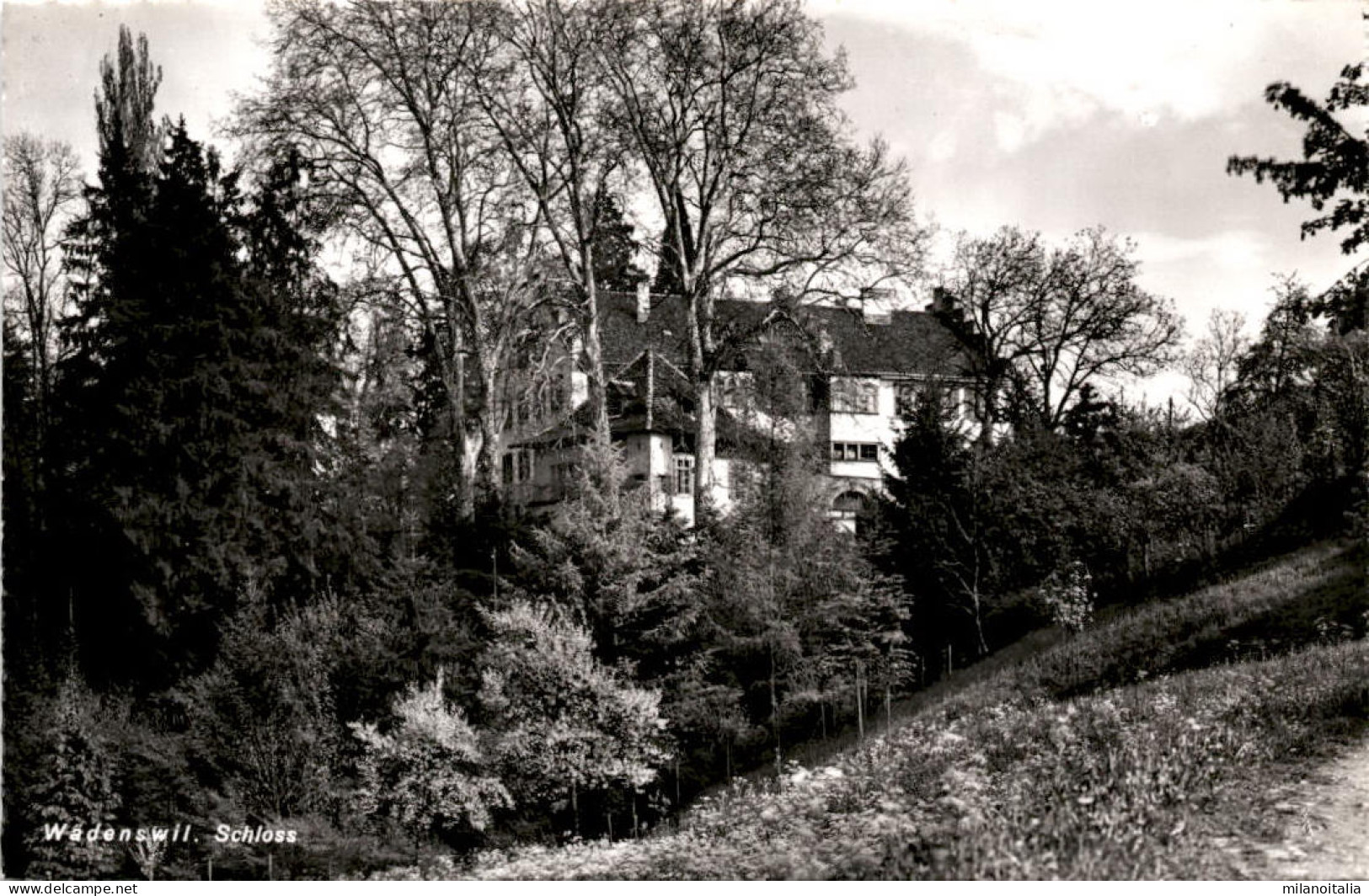 Wädenswil - Schloss (3058) - Wädenswil