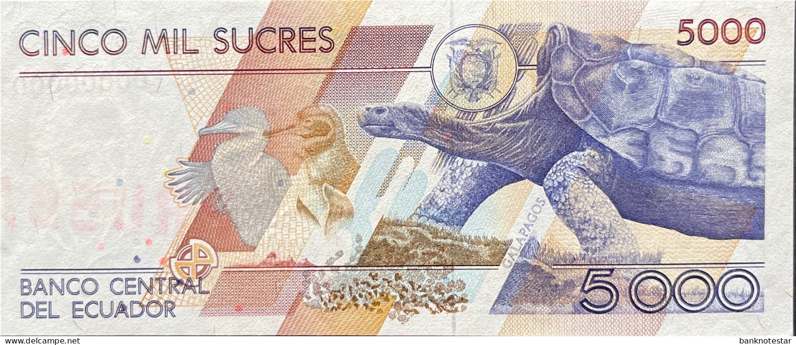 Ecuador 5.000 Sucres, P-128s4 (1991) - About Uncirculated - PRUEBA - Ecuador