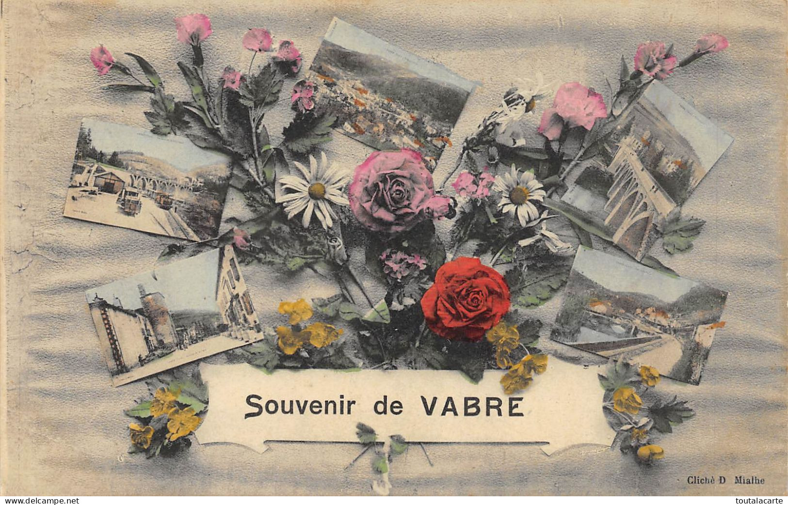 CPA  81 SOUVENIR DE VABRE - Vabre