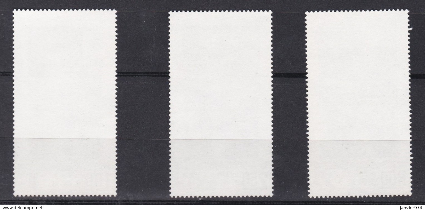 1971 , Activités Durant Les 12 Mois, Série Complètes , 3 Timbres Neufs . 821/823, Voir Scan Recto Verso - Ungebraucht