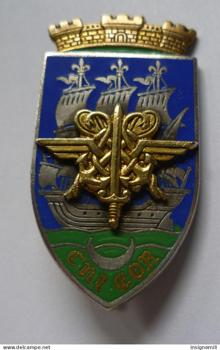 INSIGNE  CENTRE NATIONAL D' INSTRUCTION DES ELEVES OFFICIER DE RESERVE - SERVICE DE SANTE - DRAGO G 1723 - Medical Services