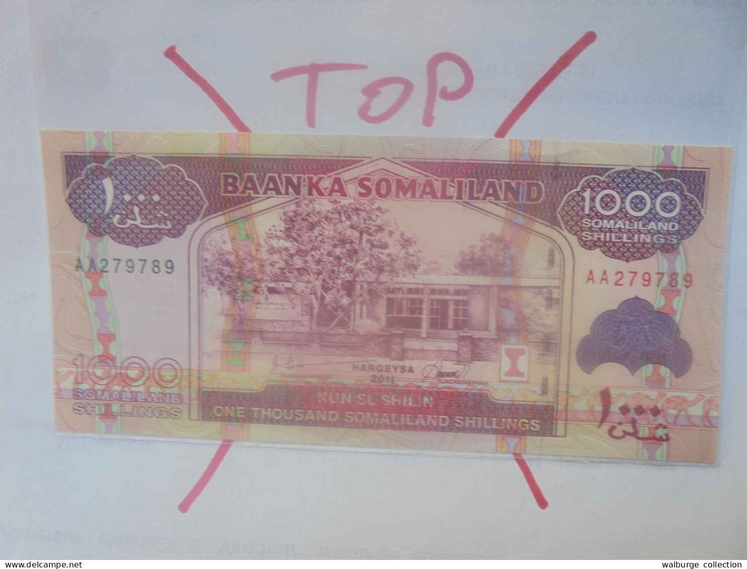 SOMALILAND 1000 SHILLINGS 2011 Neuf (B.29) - Somalia