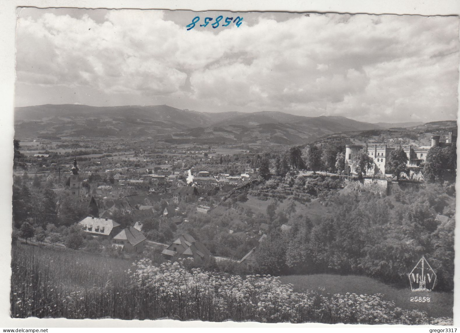 D657) WOLFSBERG - Lavanttal - Kärnten - Häuser U. Blumenwiese Gegen Schloß - Wolfsberg