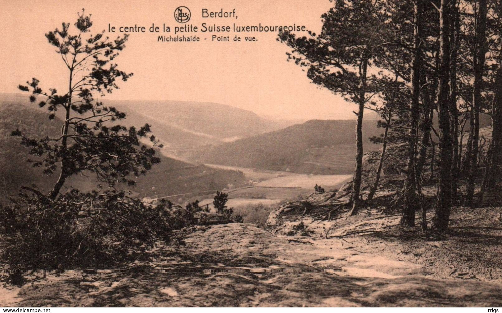 Berdorf - Michelshaide, Point De Vue - Berdorf