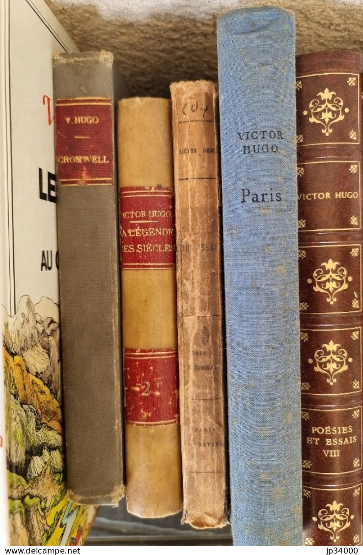 Victor Hugo. Lot De 17 Livres. (Livres 19eme, 20 Eme) Reliés, Brochés, Cartonnés - Wholesale, Bulk Lots