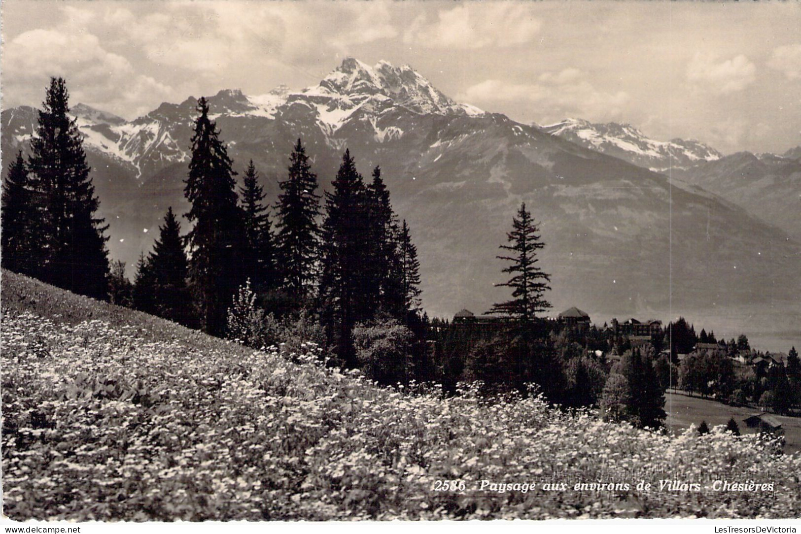 SUISSE - Paysage Aux Environs De Villars - Chesières - Carte Postale Ancienne - Villars-les-Moines