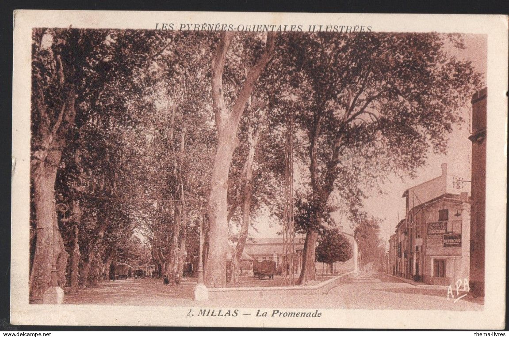 Millas (66) La Promenade ..(PPP43098) - Millas