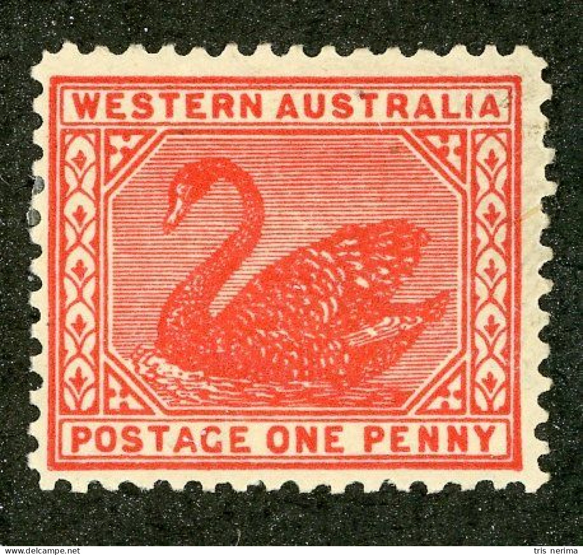 5148 BCx W. Australia 1905 Scott 90 M* (Lower Bids 20% Off) - Neufs