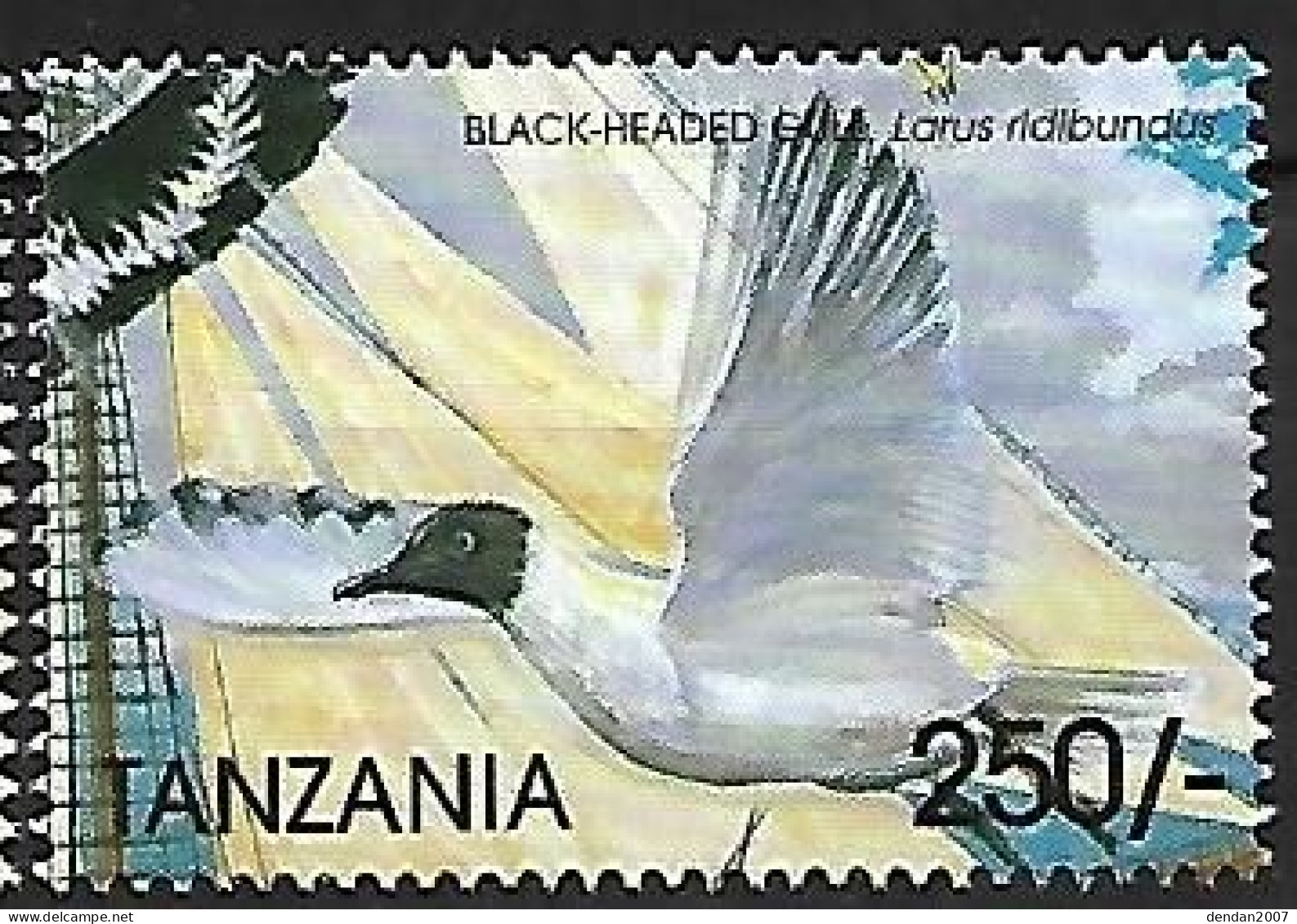 Tanzania - MNH ** 1999 :         Black-headed Gull  -  Chroicocephalus Ridibundus - Meeuwen