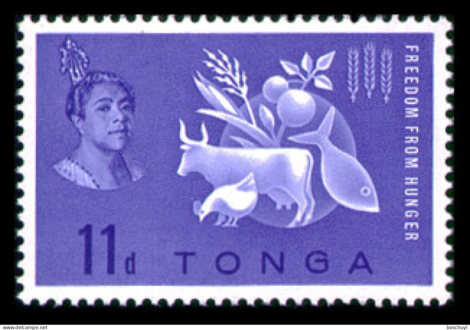 Tonga, 1963, Freedom From Hunger, FAO, Food And Agricultural Organization, United Nations, MLH, Michel 127 - Tonga (...-1970)