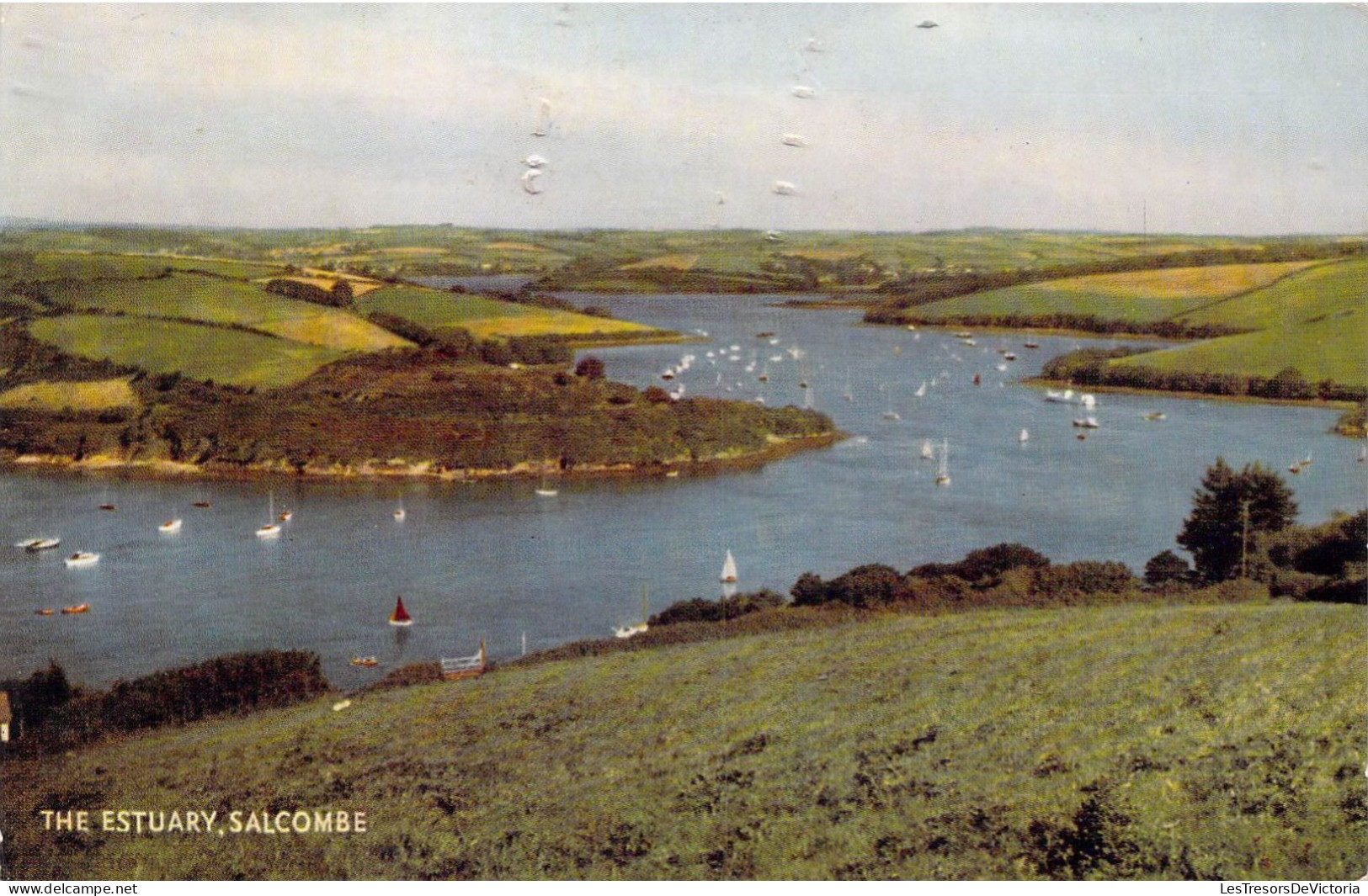 ANGLETERRE - Salcombe - The Estuary - Carte Postale Ancienne - Andere & Zonder Classificatie