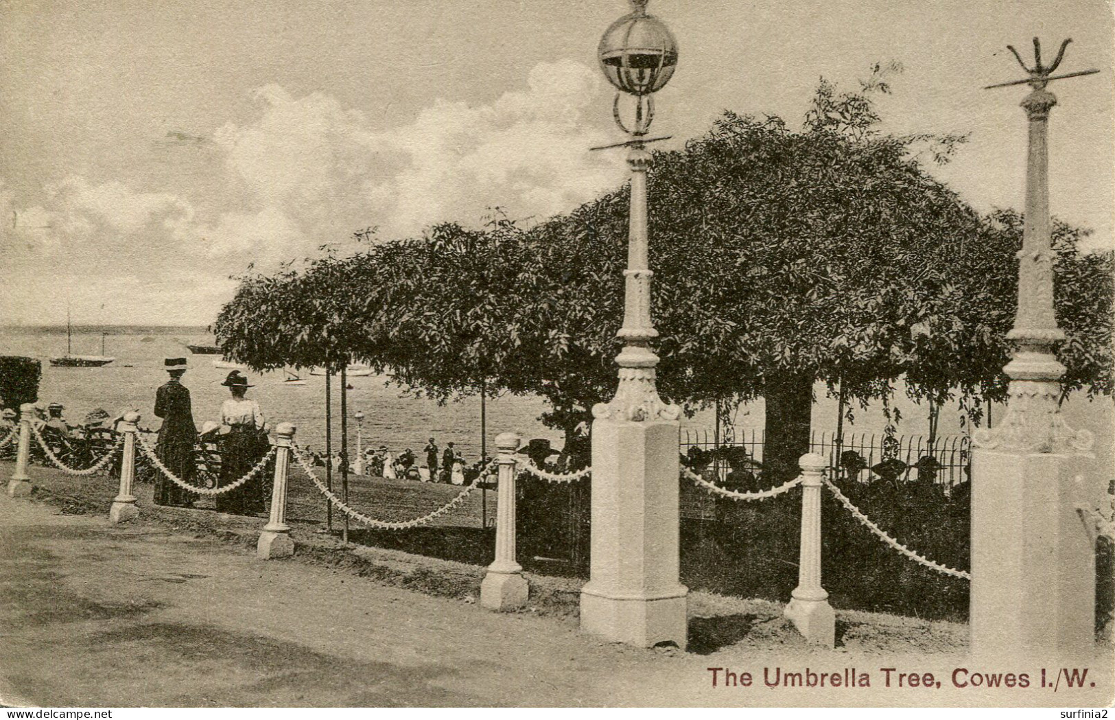 IOW - COWES - THE UMBRELLA TREE Iow549 - Cowes