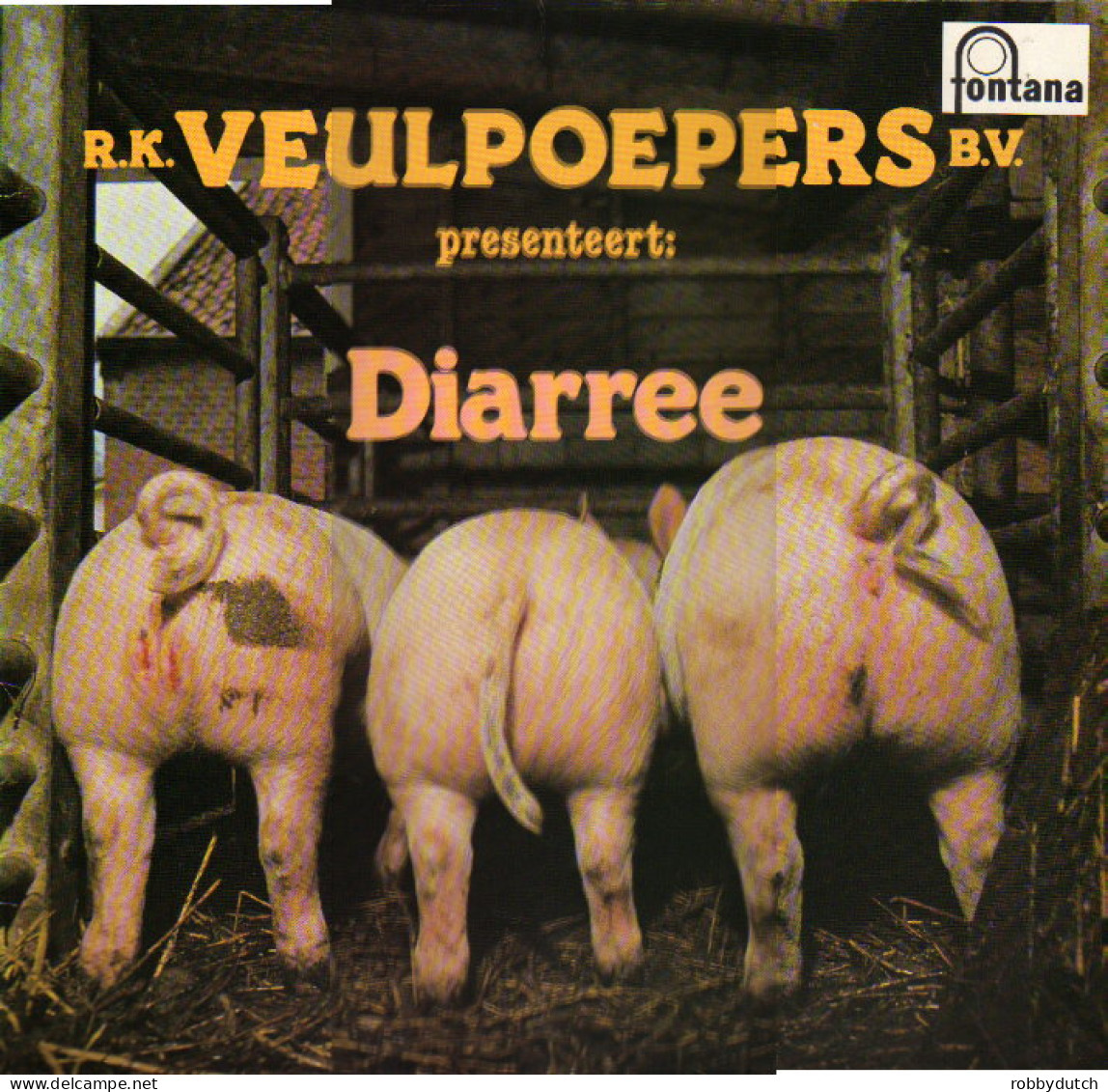 * LP *  R.K. VEULPOEPERS B.V. - DIARREE (Holland 1978 EX) - Country En Folk