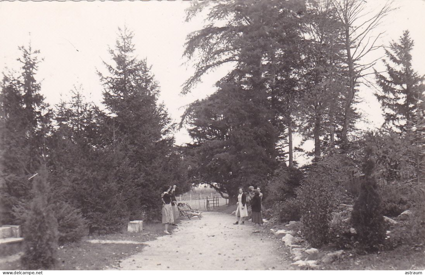 Cpa  -38- Diemoz - Animée - Allée Sous Les Pins - Edi Bernard - Diémoz