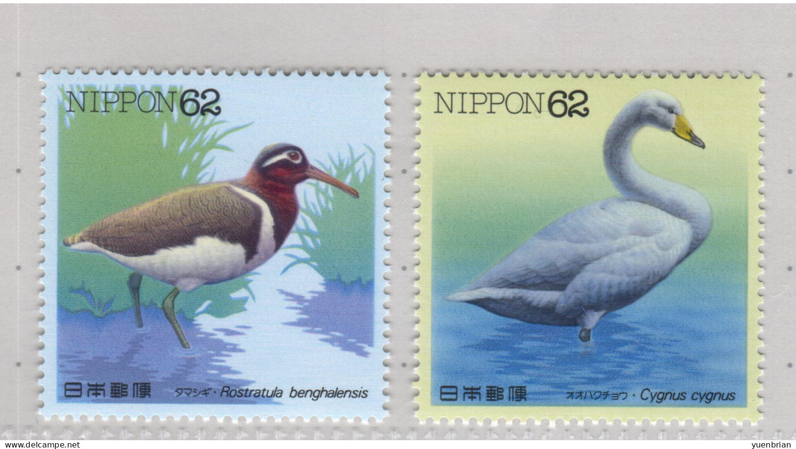 Japan 1992, Bird, Birds, Swan, 2v, MNH** - Zwanen