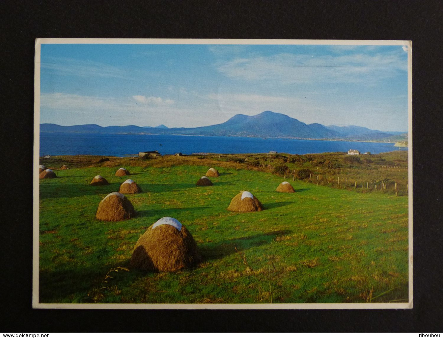 IRLANDE IRELAND EIRE AVEC YT 571 CHAPELLE DE CORMAC - HAYCOCKS - Covers & Documents