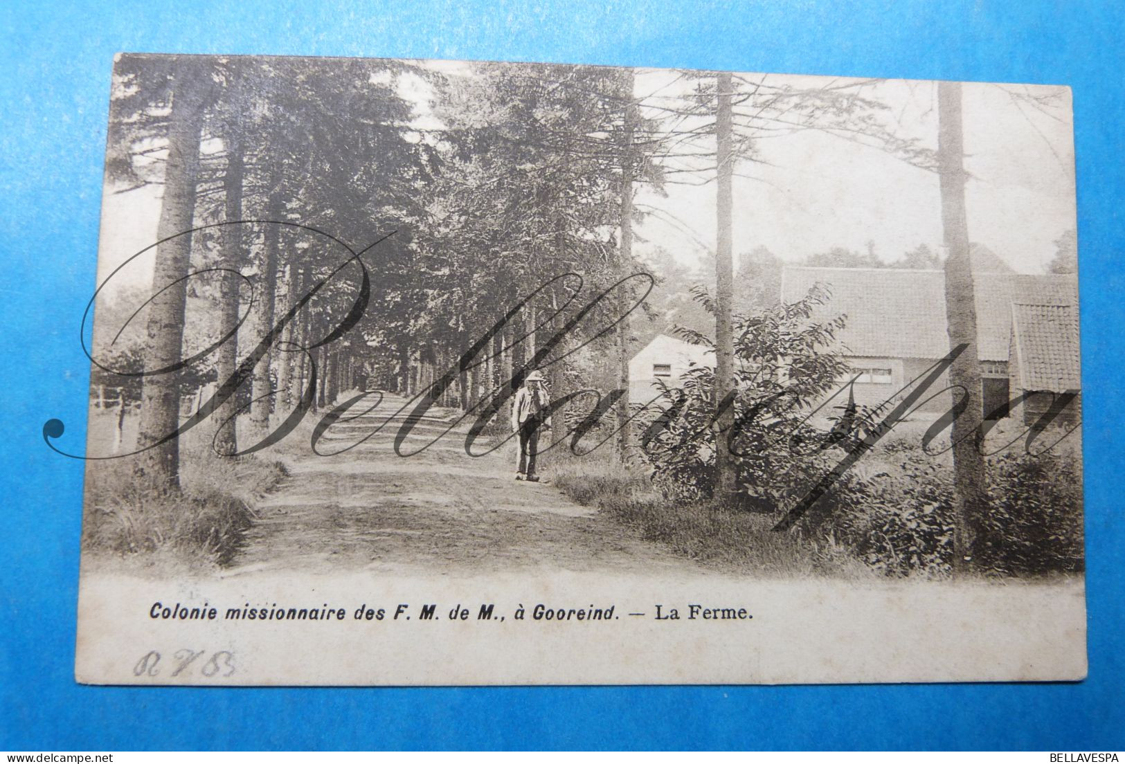 Gooreind Colonie Missionaire Des F.M. De M. La Ferme Wuustwezel 1905 - Wuustwezel