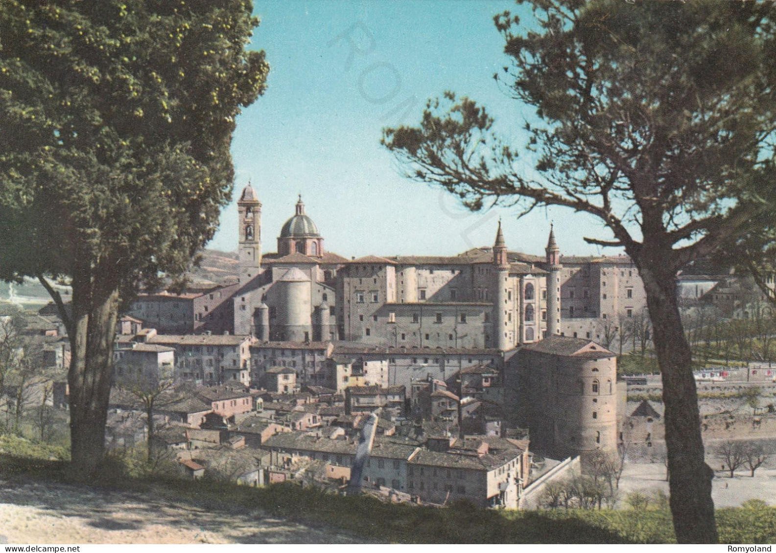 CARTOLINA  URBINO,MARCHE-PANORAMA-STORIA,MEMORIA,CULTURA,RELIGIONE,IMPERO ROMANO,BELLA ITALIA,NON VIAGGIATA - Urbino