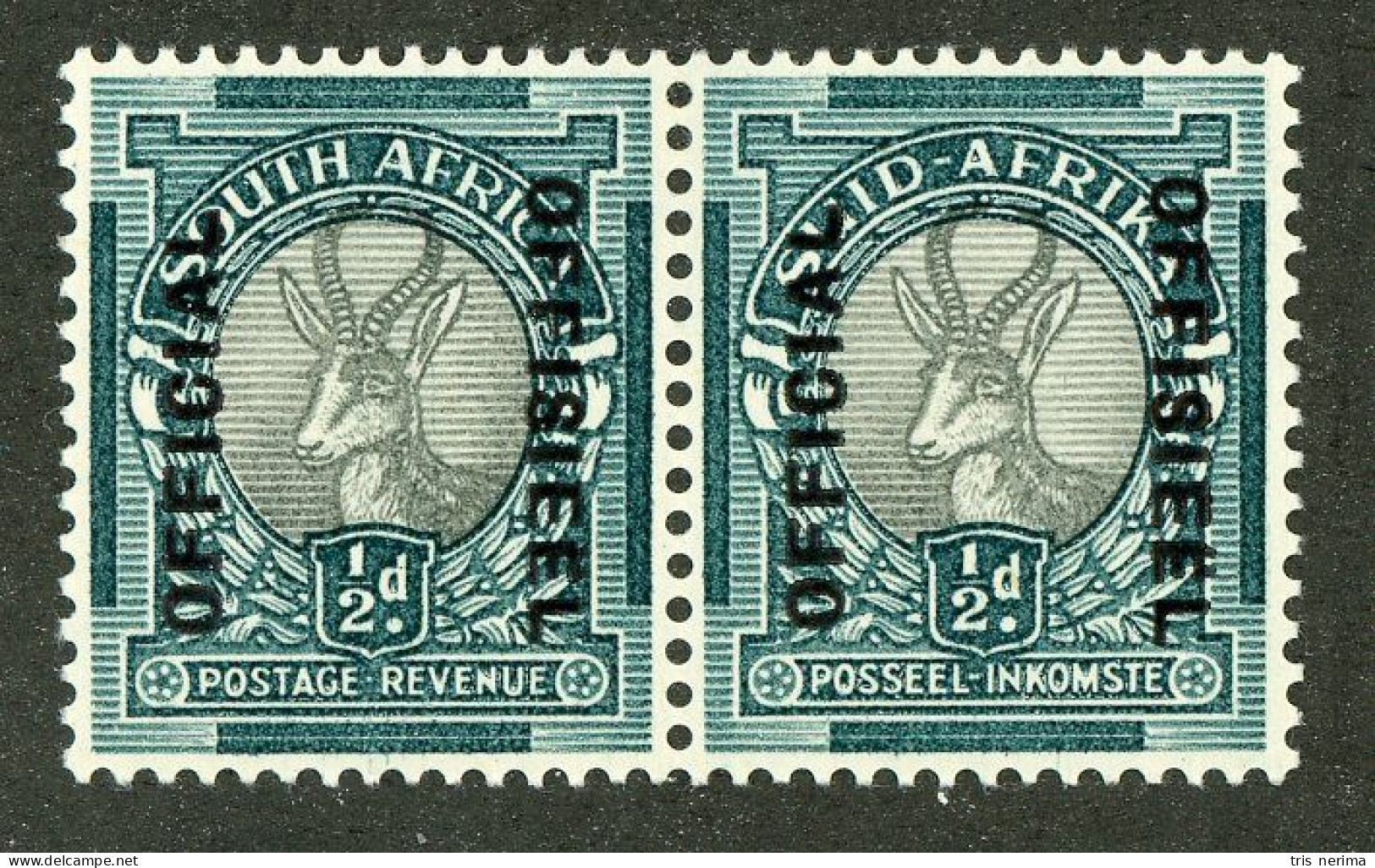 5601 BCx S. Africa 1947 Scott O-42 M* (Lower Bids 20% Off) - Service