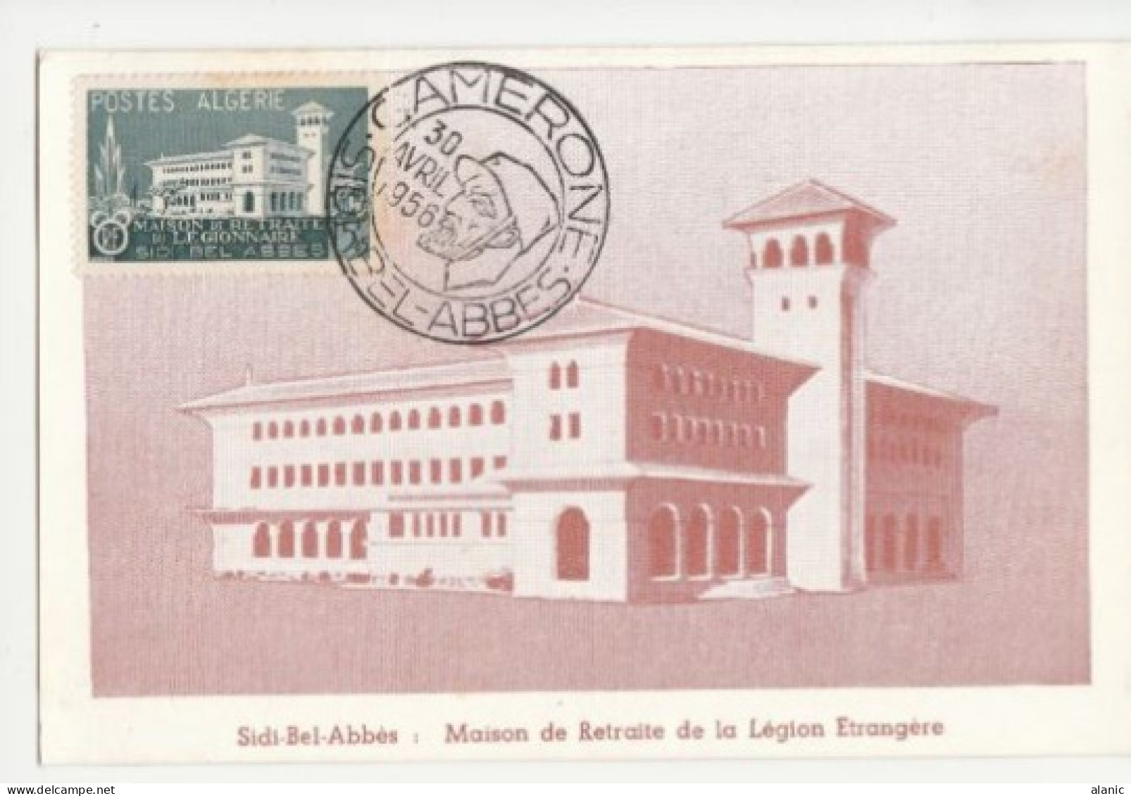 ALGERIE-Carte Maximum- N°334 CAMERONE SIDI BEL ABBES - Cartoline Maximum