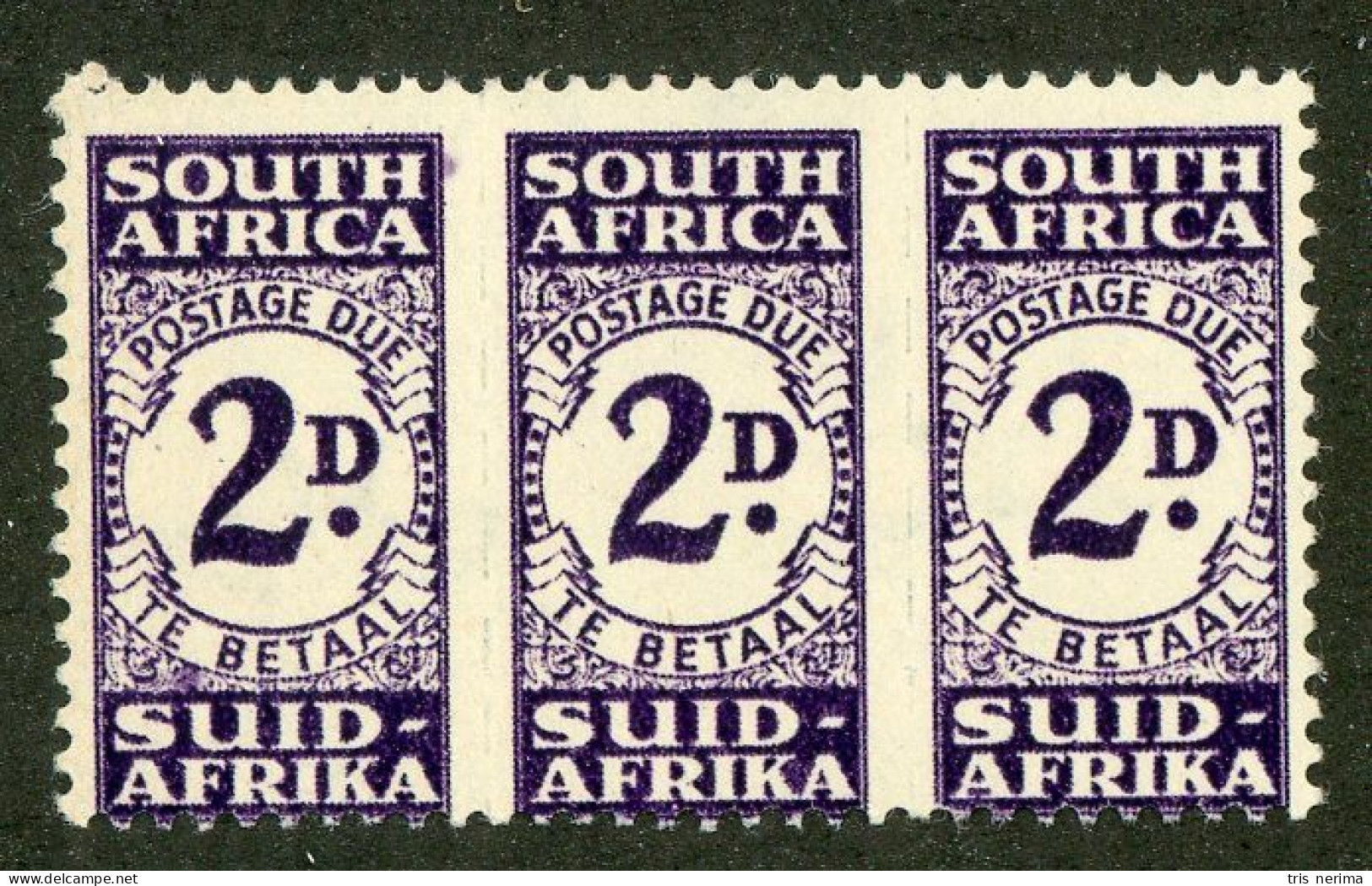 5614 BCx S. Africa 1943 Scott J-32 M* (Lower Bids 20% Off) - Timbres-taxe