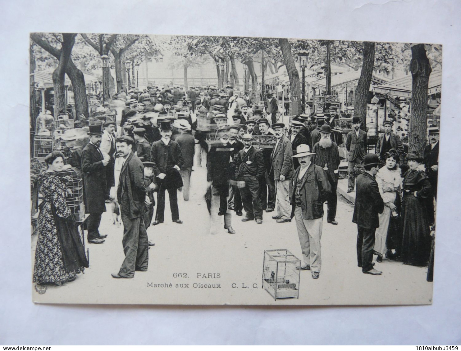 CPA 75 PARIS : MARCHE AUX OISEAUX - Scène Animée - Petits Métiers à Paris