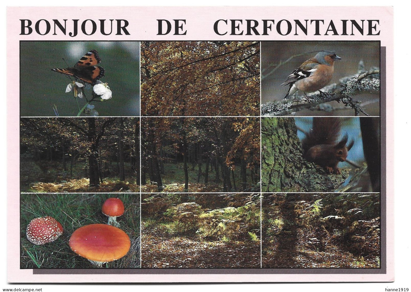 Cerfontaine Photo Carte Bonjour De Cerfontaine Namur Htje - Cerfontaine