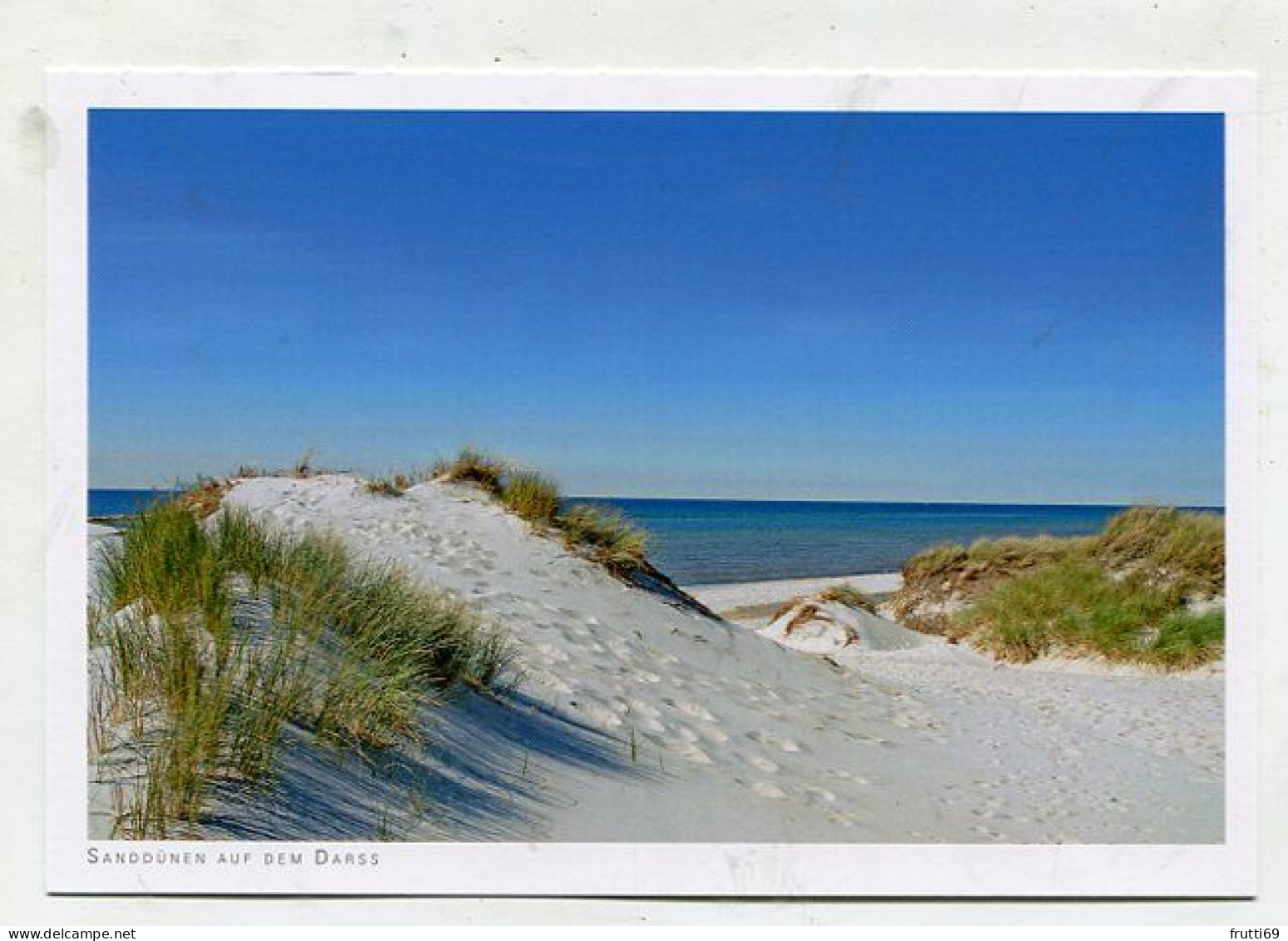 AK 145406 GERMANY - Sanddünen Auf Dem Darss - Fischland/Darss