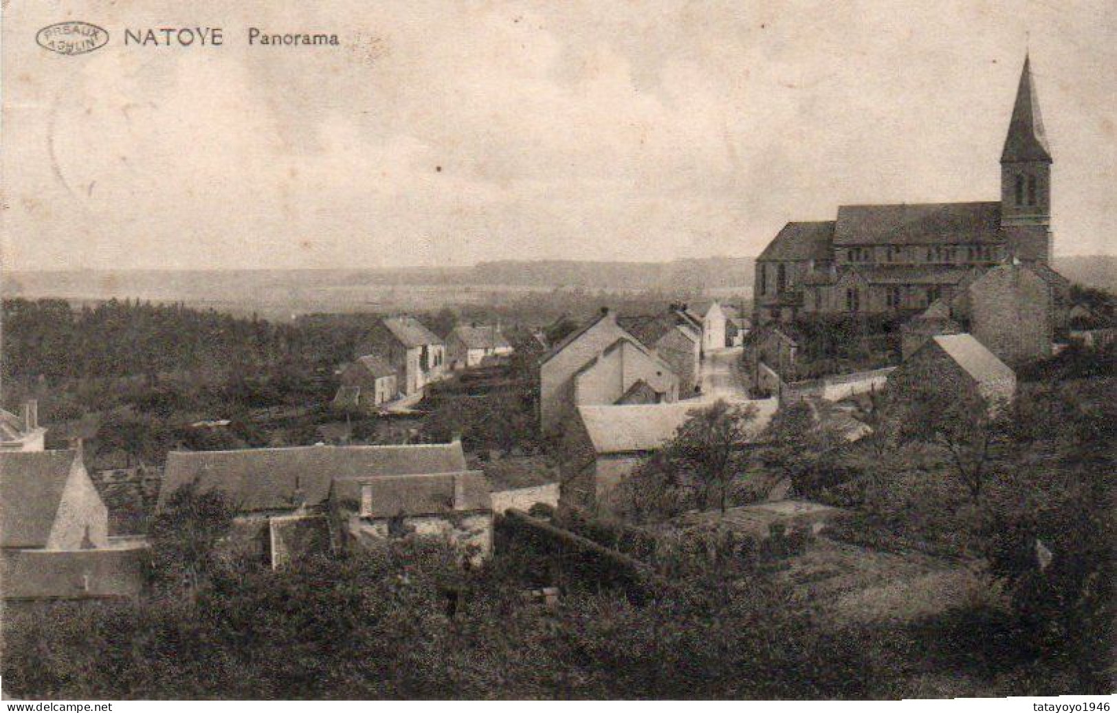 Natoye  Panorama Voyagé En 1925 - Hamois