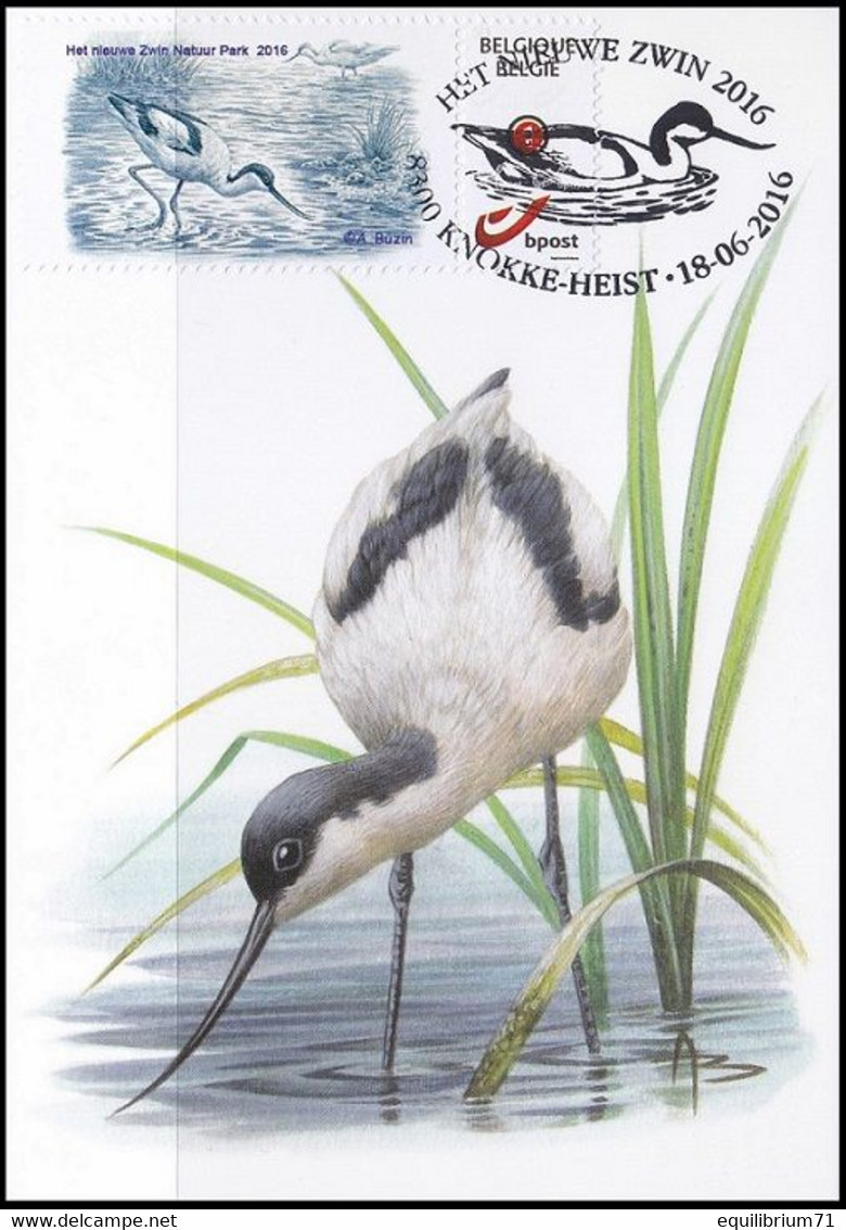 CM/MK - MYSTAMP° - FDC - Avocette élégante / Kluut / Avocet / Recurvirostra Avosetta - Zwin - BUZIN - 2011-..