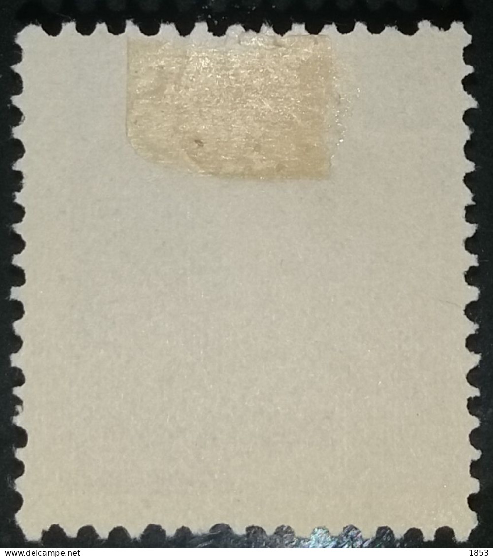 HORTA - AÇORES - 1897 - D.CARLOS I - CE21 - Horta