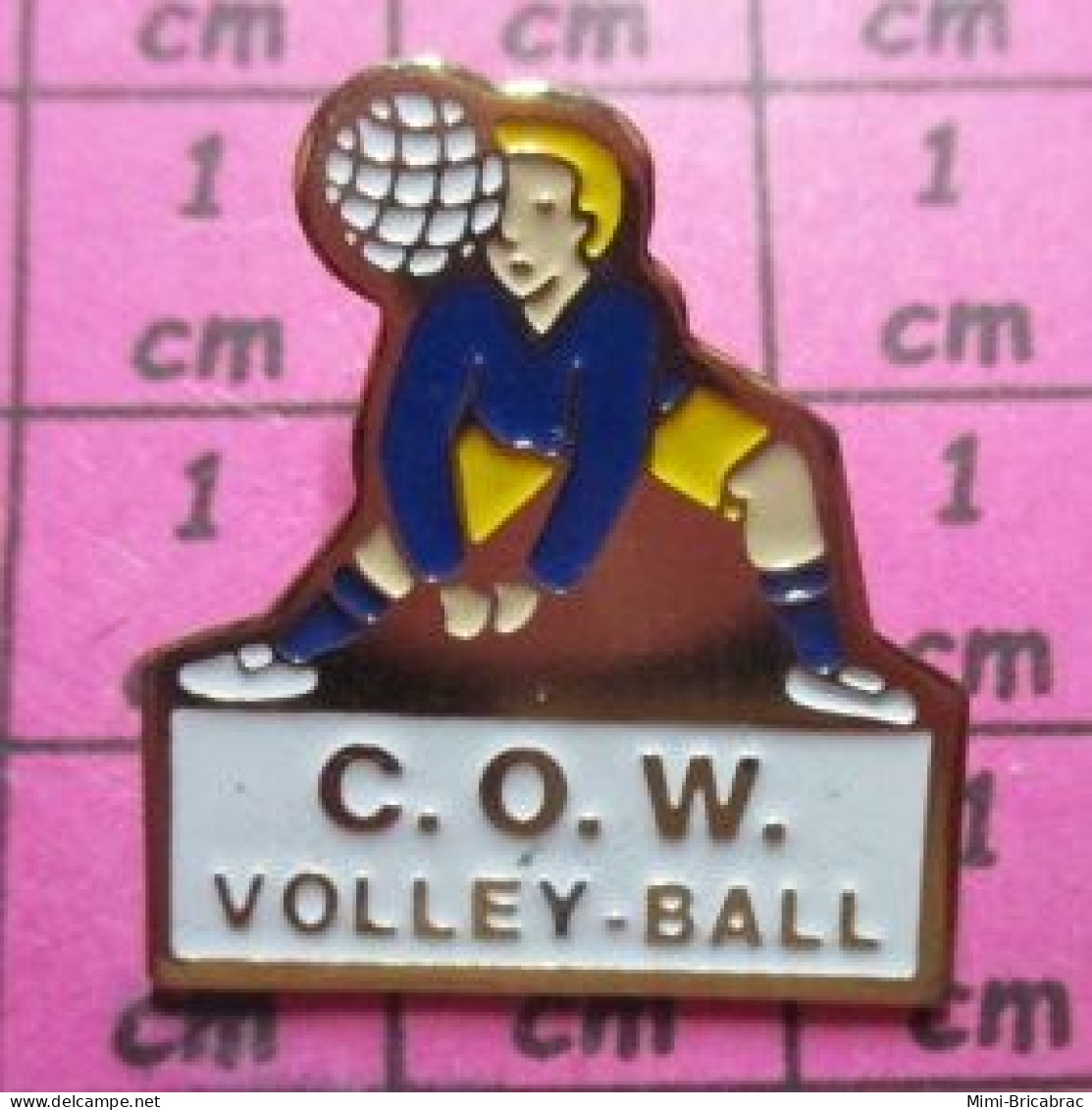 2119 Pin's Pins / Beau & Rare /  SPORTS / CLUB DE VOLLEY-BALL C.O.W. - Volleyball