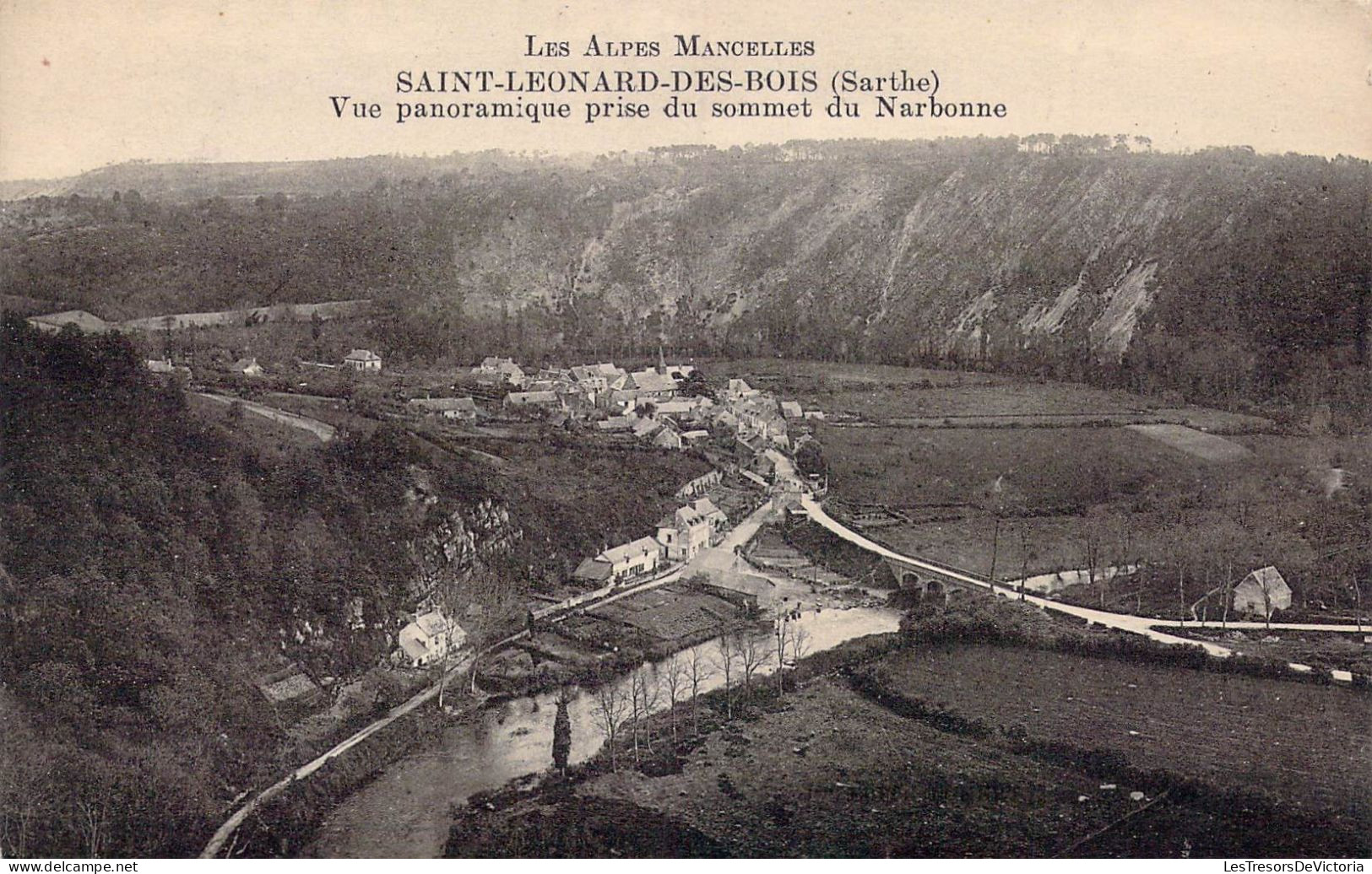 FRANCE - 72 - Saint-Leonard-des-Bois - Vue Panoramique Prise Du Sommet Du Narbonne - Carte Postale Ancienne - Saint Leonard Des Bois