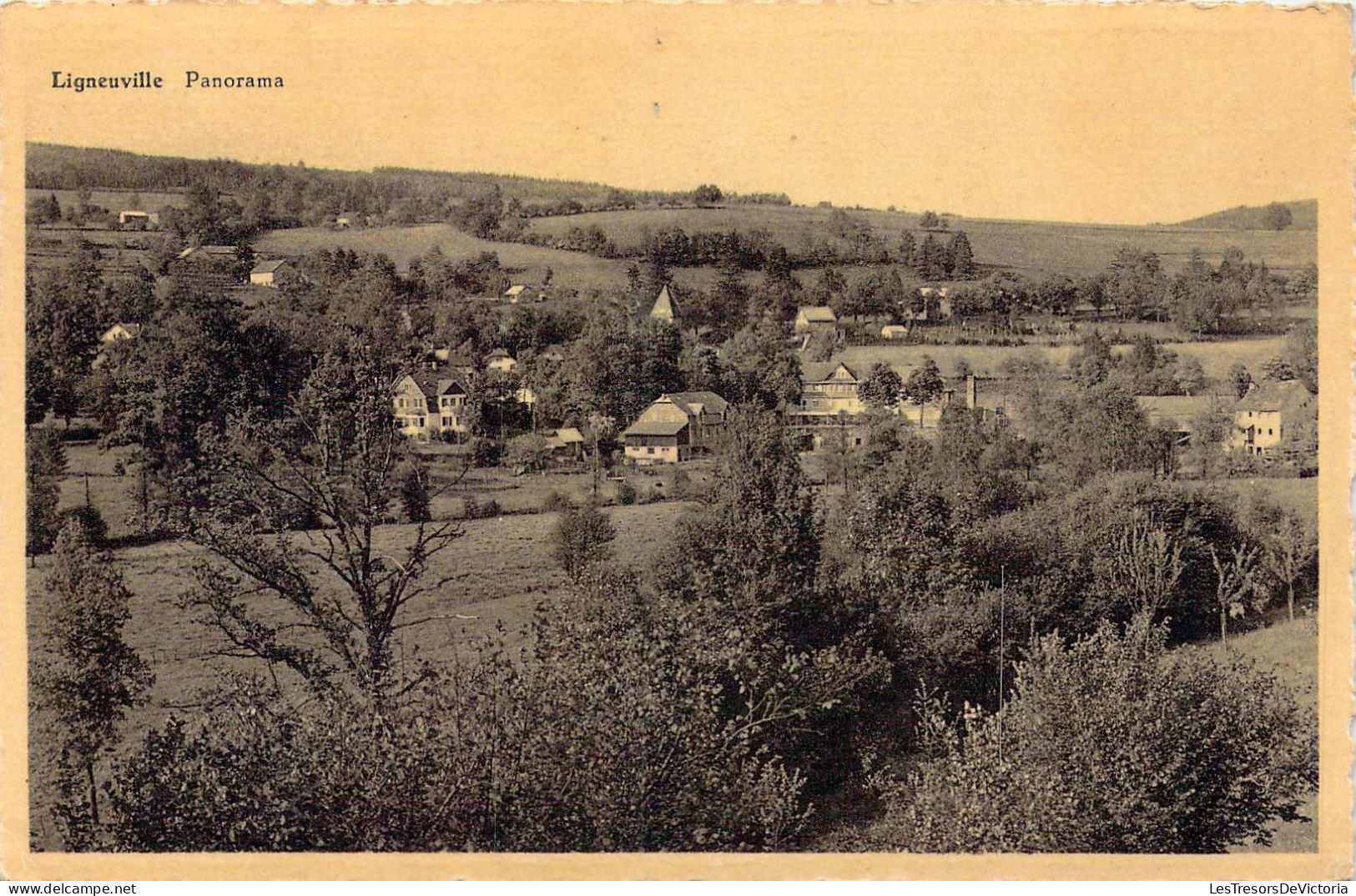 BELGIQUE - Ligneuville - Panorama - Carte Postale Ancienne - Malmedy