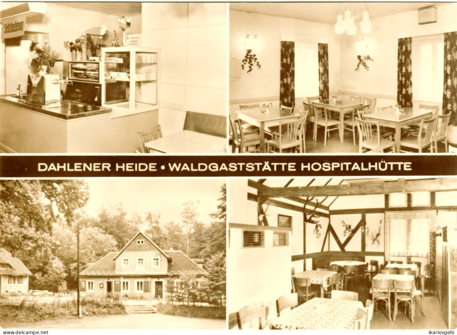 DAHLEN über Oschatz Sachsen ~1966 4-geteilte Private AK " Waldgaststätte Hospitalhütte Dahlener Heide " - Oschatz