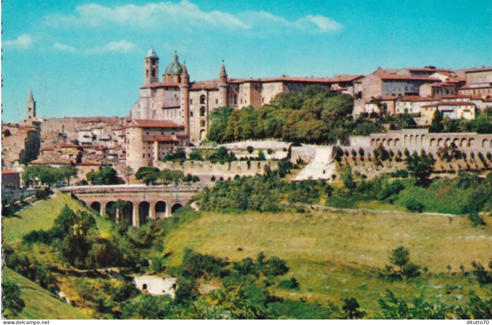 Urbino - Panorama - 5 - Formato Grande Non Viaggiata – FE390 - Urbino