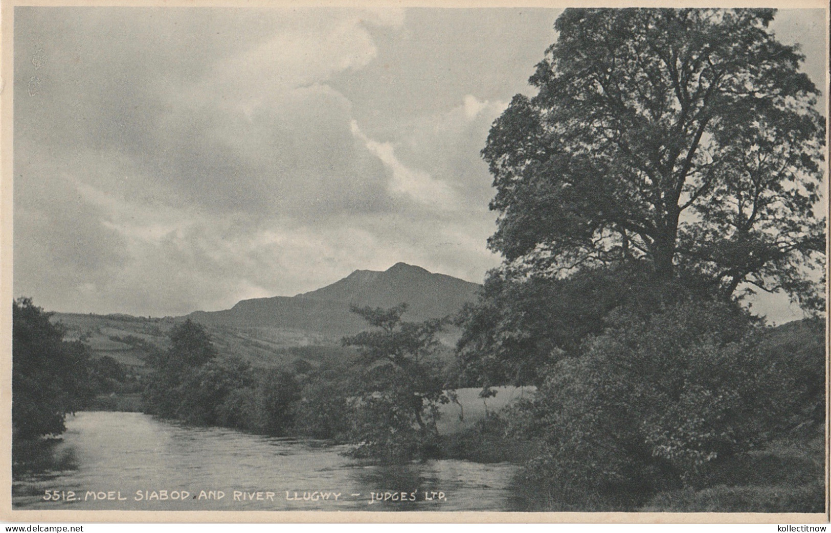 MOEL SIABOD AND RIVER LLUGWY - CARMARTHENSHIRE - Carmarthenshire