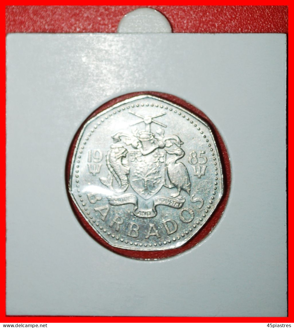 * GREAT BRITAIN FISH (1973-1986): BARBADOS  1 DOLLAR 1985! ELIZABETH II (1953-2022) IN HOLDER·  LOW START · NO RESERVE! - Barbades