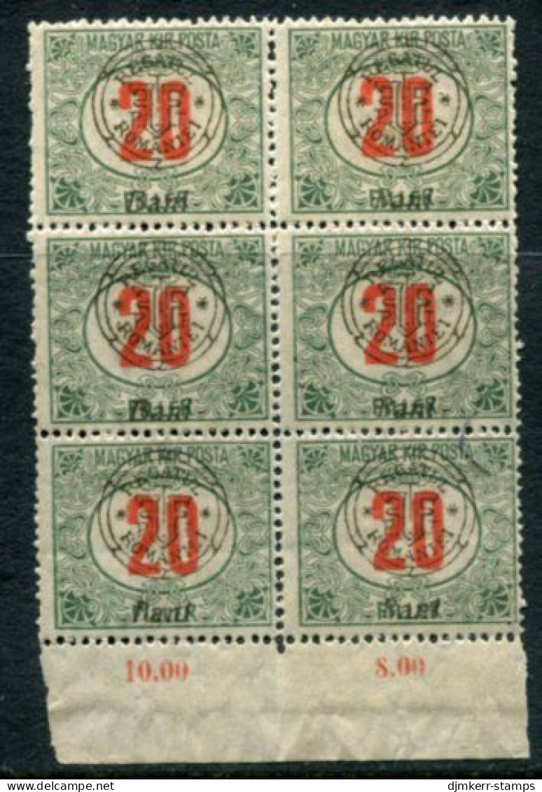 TRANSYLVANIA 1919 Overprint Type II  On Postage Due 20 F. Block Of 6 MNH / **.  Michel Porto 9 II - Siebenbürgen (Transsylvanien)