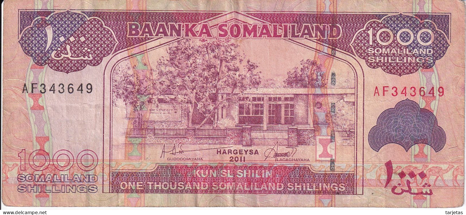 BILLETE DE SOMALIA DE 1000 SHILLINGS DEL AÑO 2011    (BANKNOTE) - Somalie