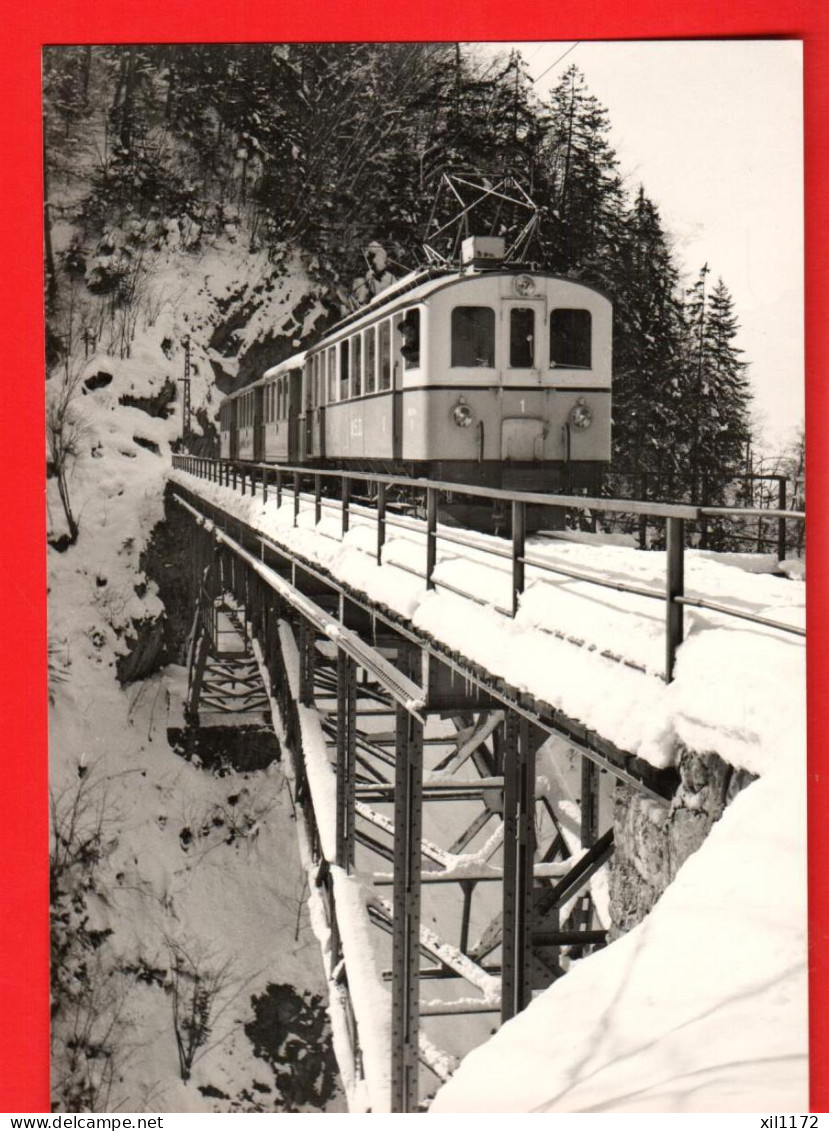 ZVY-20 Train Aigle Les Diablerets Viaduc Vanel Plambuit Photo Kettel 1941-42   BVA GF NC - Aigle