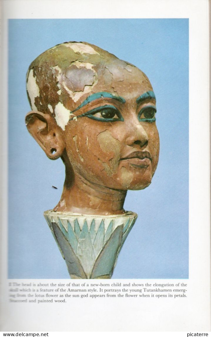 POST FREE UK-TUTENKHAMEN, Treasure- Christiane Desroches-Noblecourt 1972(reprint) 224pages- Pub.Penguin-see 7 Scans - Antiquité