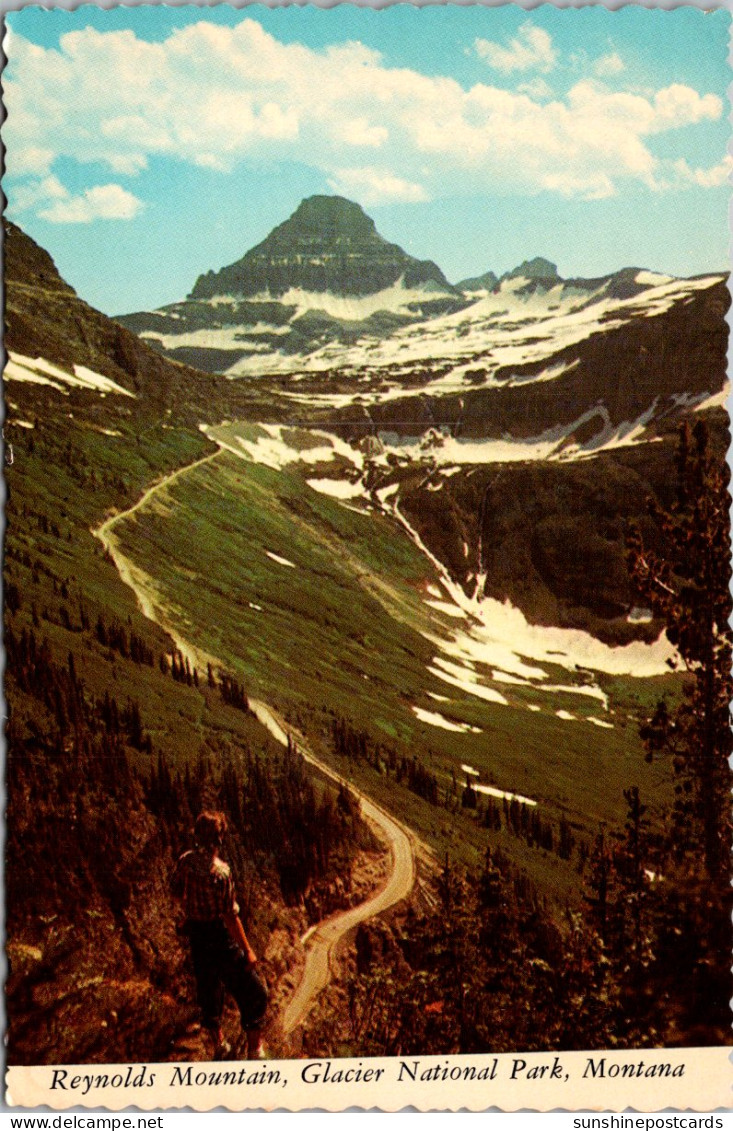 Montana Glacier National Park Reynolds Mountain - Autres & Non Classés