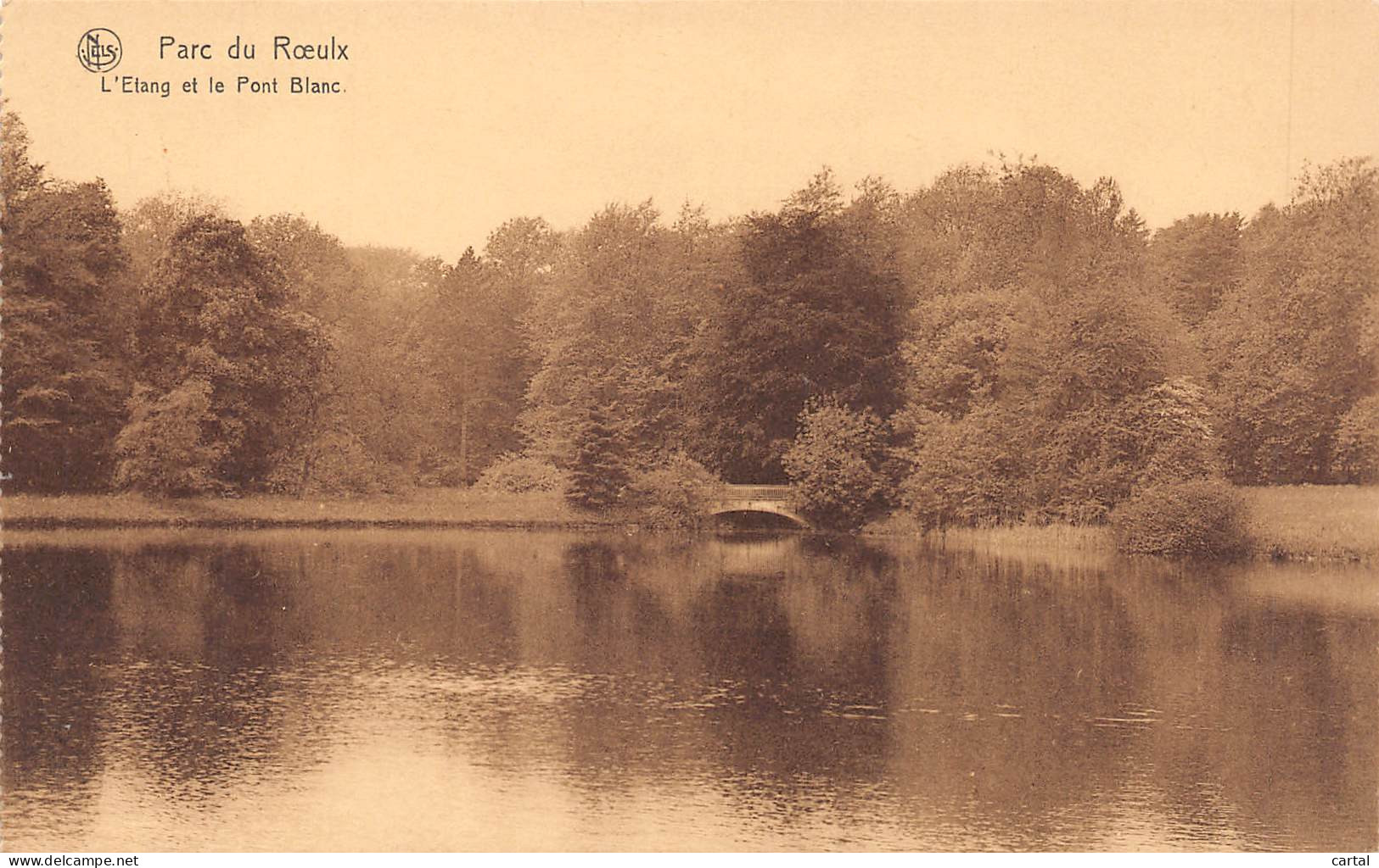 Parc Du ROEULX - L'Etang Et Le Pont Blanc - Le Roeulx