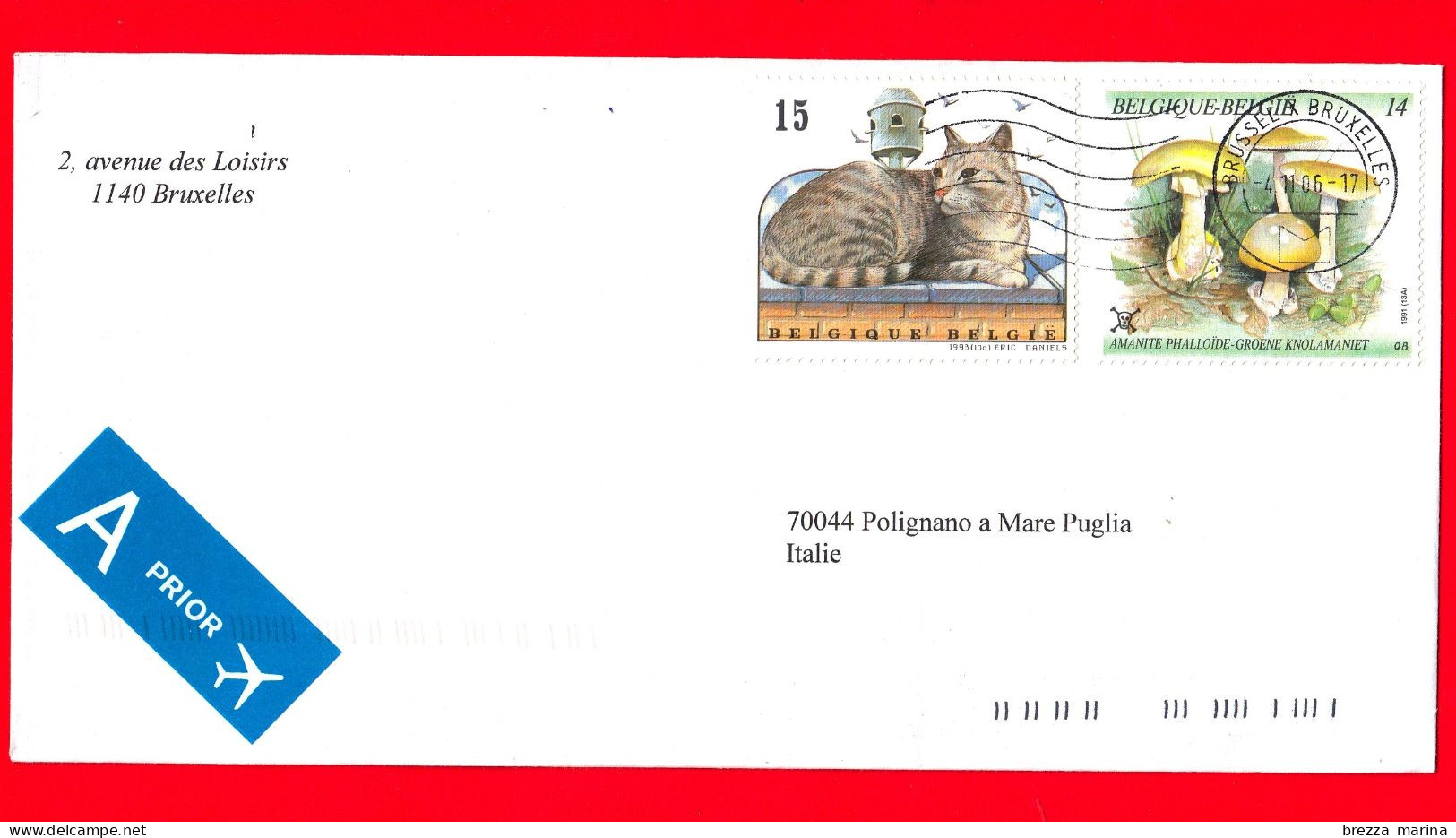 BELGIO ~ Storia Postale ~ Busta Del 2006 - ( 1991 - Funghi Amanita Phalloides - 1993 - Gatti Silver Tabby  ) - Brieven En Documenten