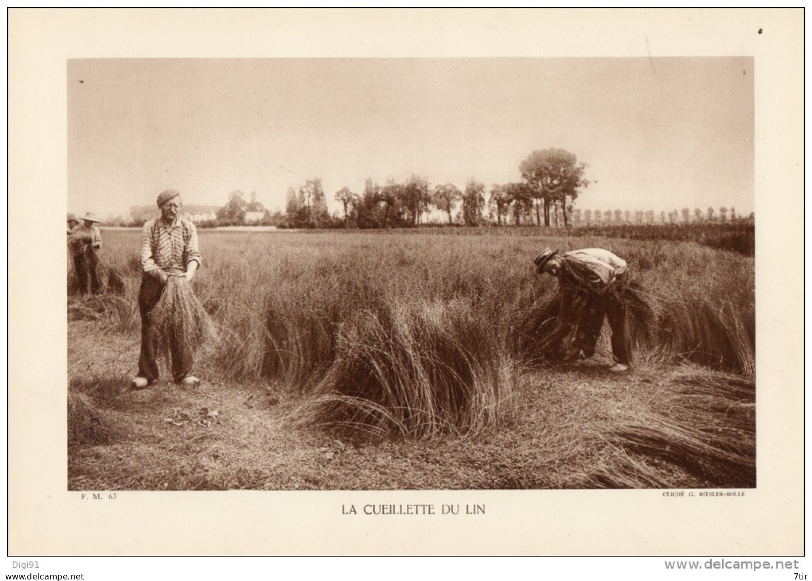 LE CEUILLETTE  DU LIN  ( Vie Rurale Agriculture ) - Andere Plannen