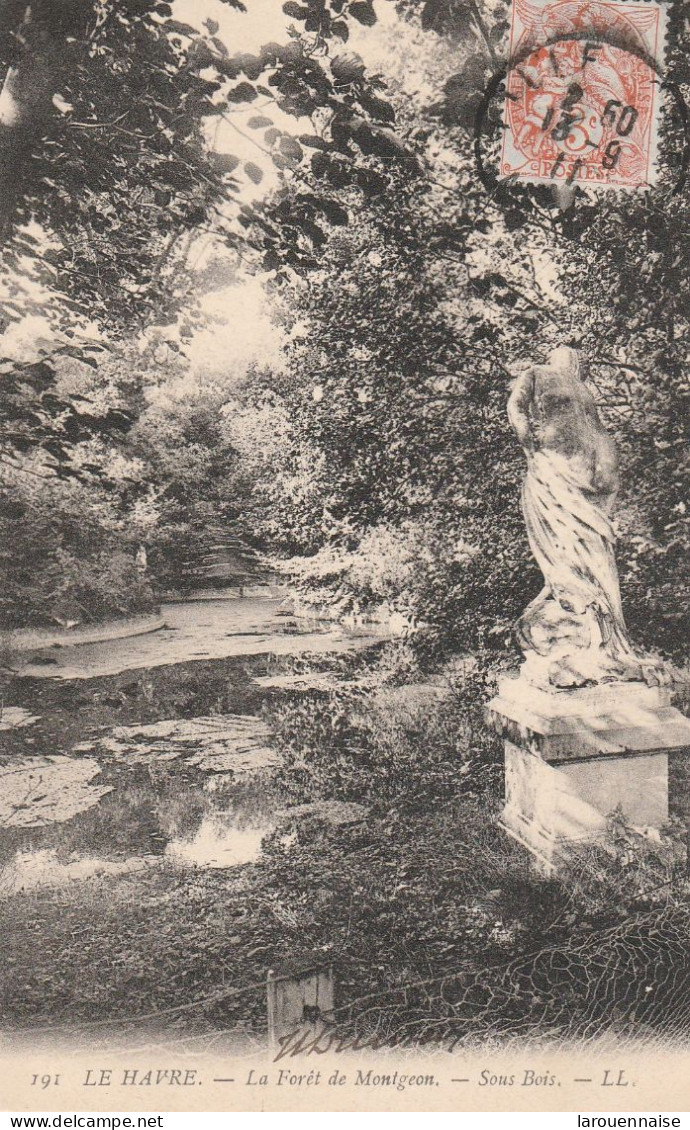 76 - LE HAVRE - La Forêt De Montgeon - Sous Bois - Forêt De Montgeon