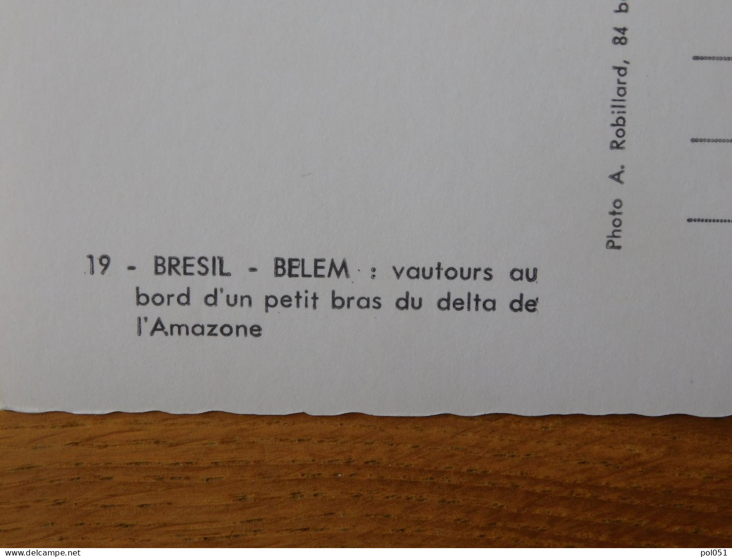 BRESIL - Belém - Vautours Au Bord D'un Petit Bras Du Delta De L'Amazone - Belém