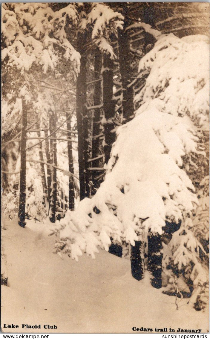 New York Adirondacks Lake Placid Club Cedars Trail In January 1909 Real Photo - Adirondack